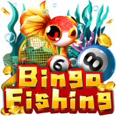 Câu Cá Bingo trên 66bet
